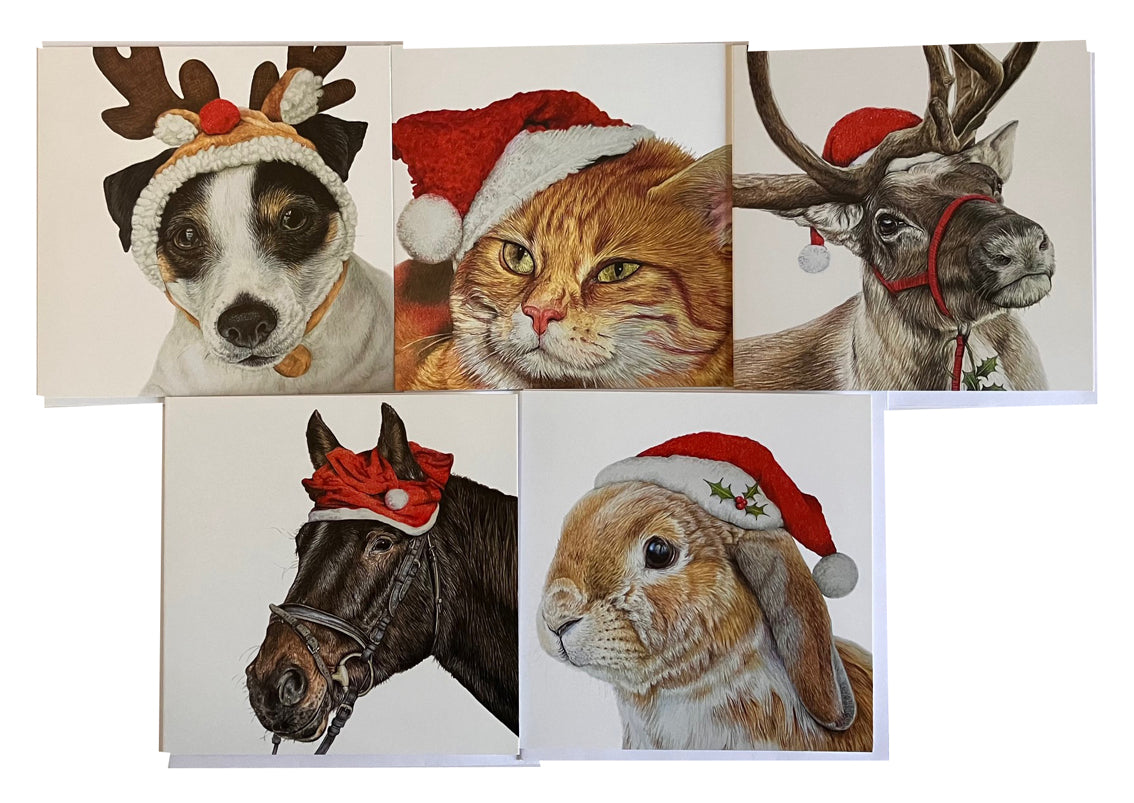 5 x Premium Animal Christmas cards