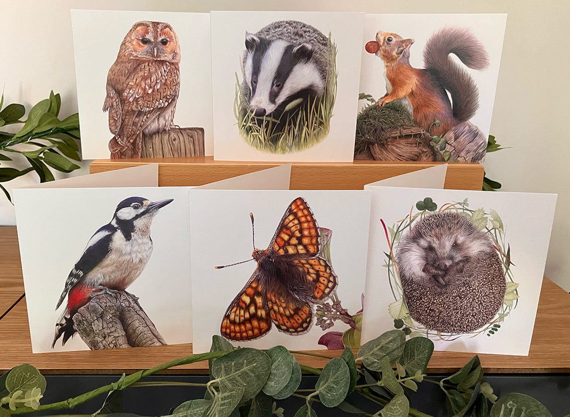 * NEW * 6 x Premium Wildlife Cards (Forest)