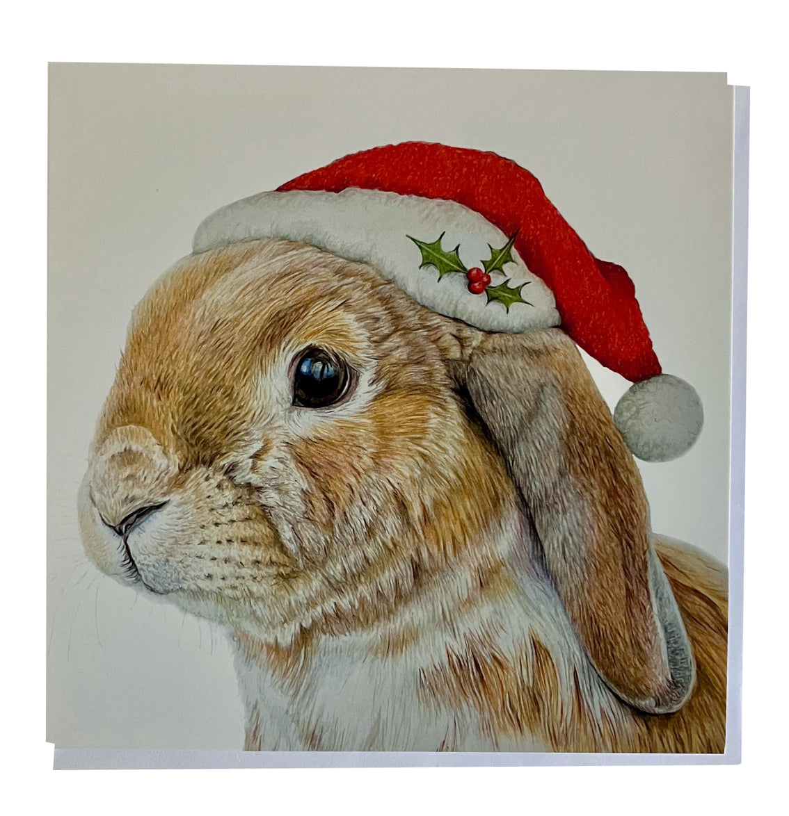 5 x Premium Animal Christmas cards