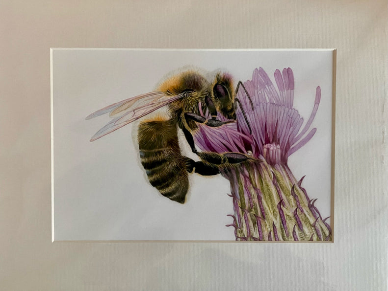 'Busy' (Bee)