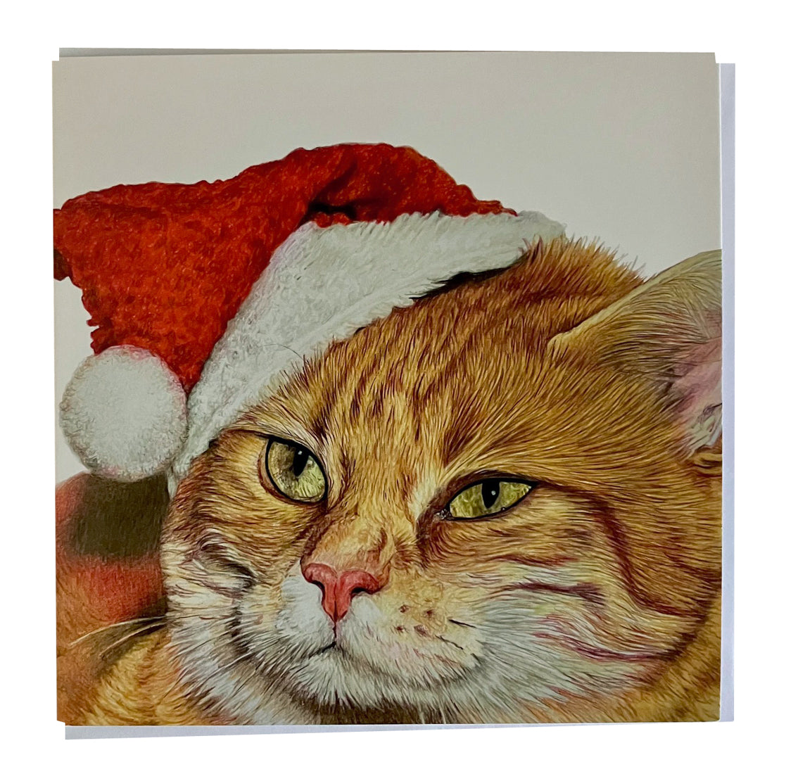 5 x Premium Animal Christmas cards