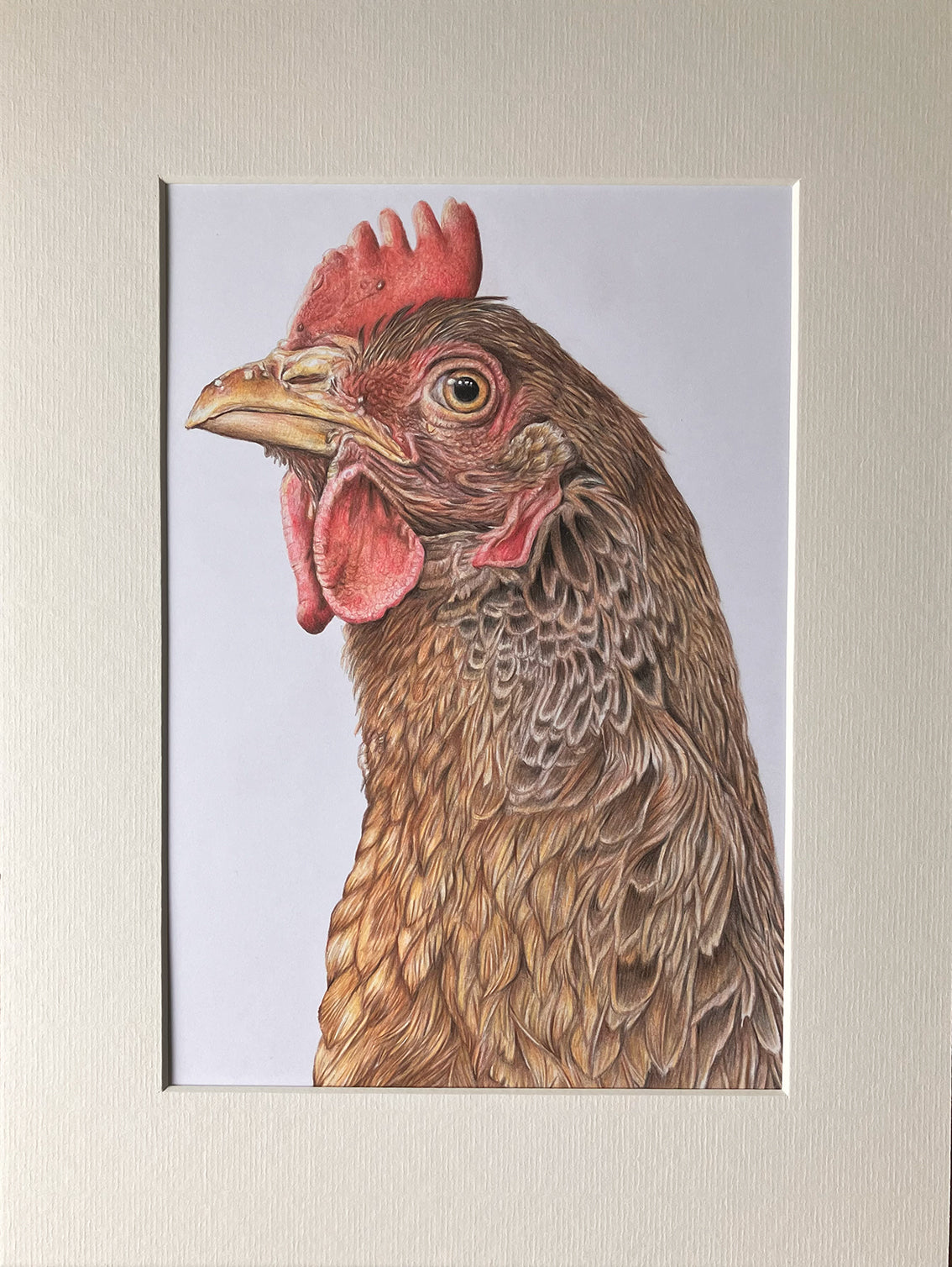 (Farm Animals) Chicken Original Drawing