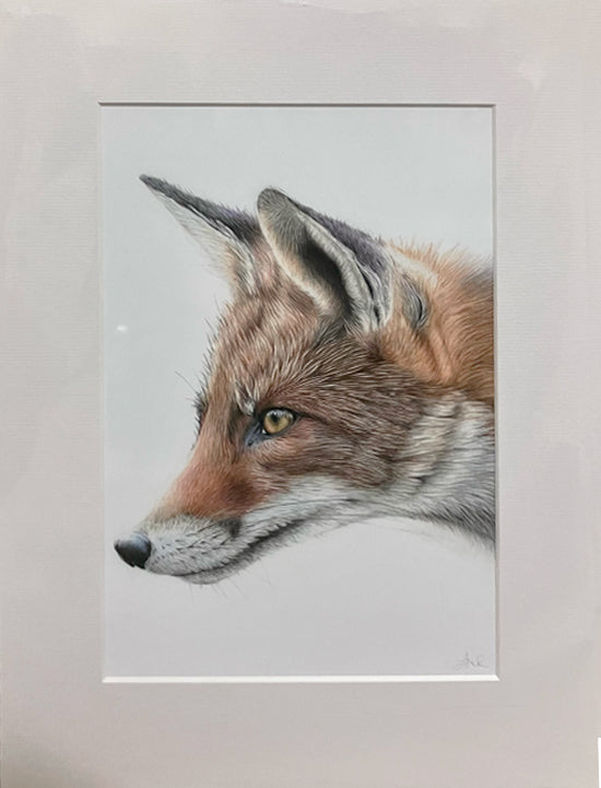 'Concentration' (Fox)