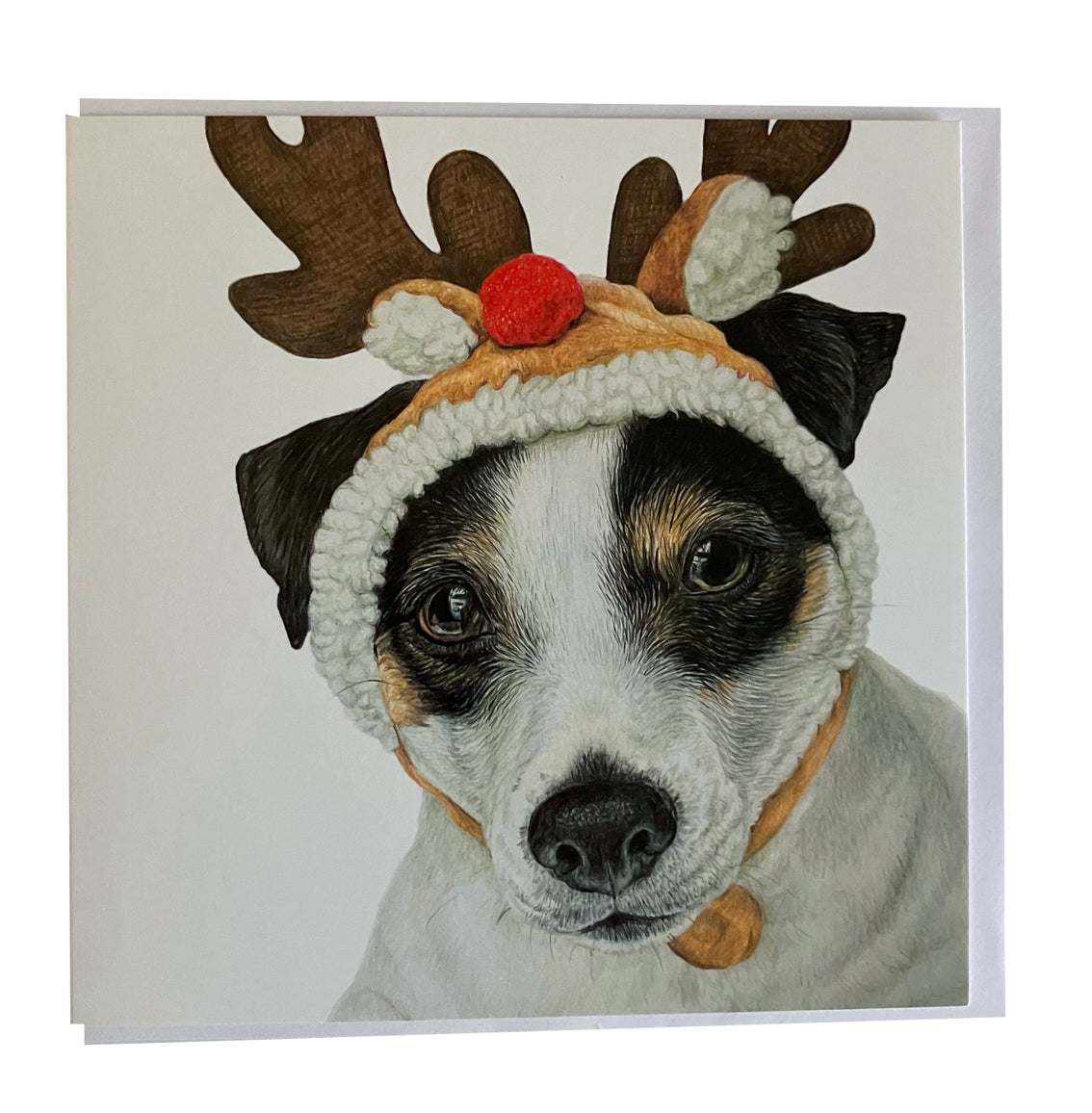 5 x Premium Animal Christmas cards