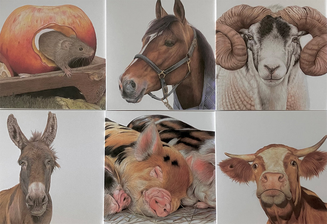 6 x Premium Farmyard Cards - Set 2