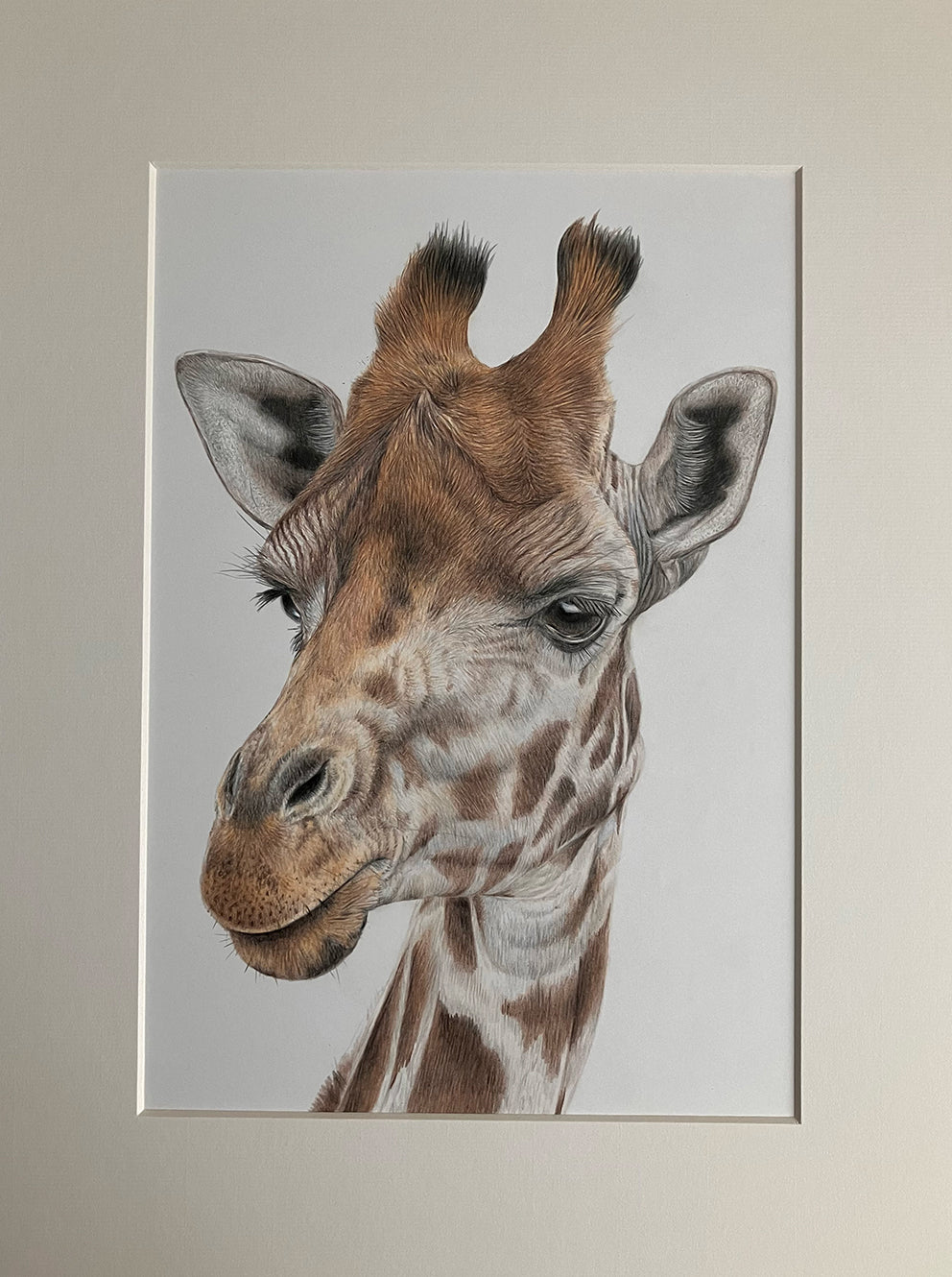 'Genevieve' Giraffe Original Drawing