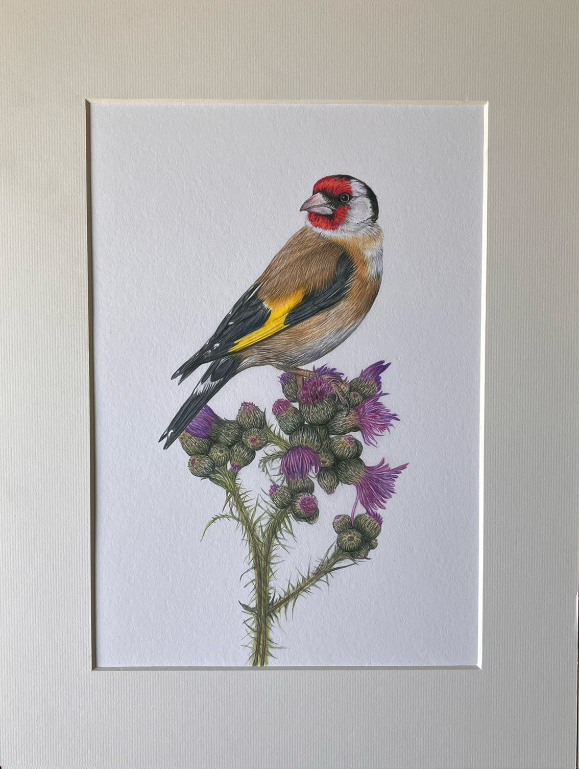 (Birds & Insects) *NEW* Goldfinch