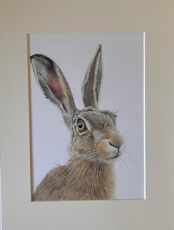 'Fixated' (Hare) Original Drawing