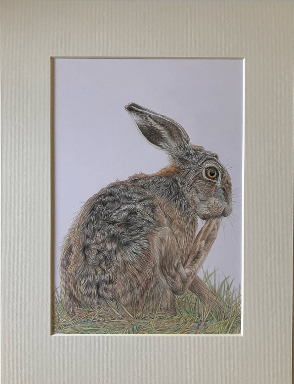 (Wildlife) 'Preening' Hare Original