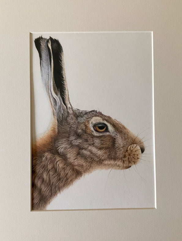 'Focused' (Hare) Original Drawing