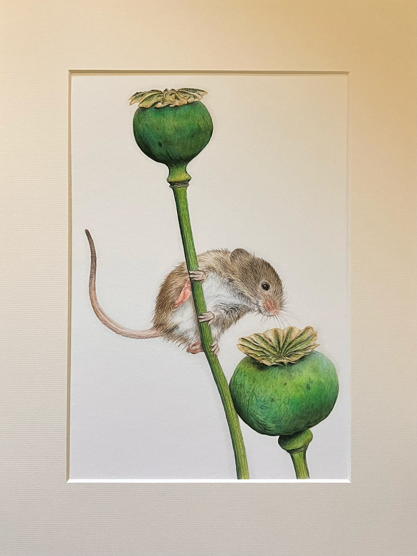 (Farm Animals) Harvest Mouse