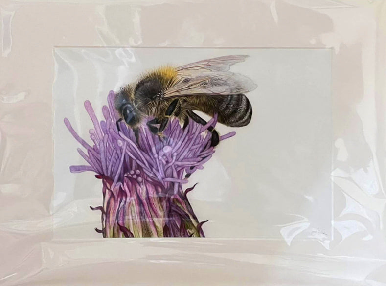 'Honey Bee'