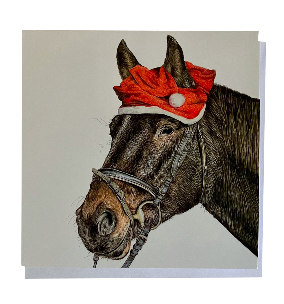 5 x Premium Animal Christmas cards