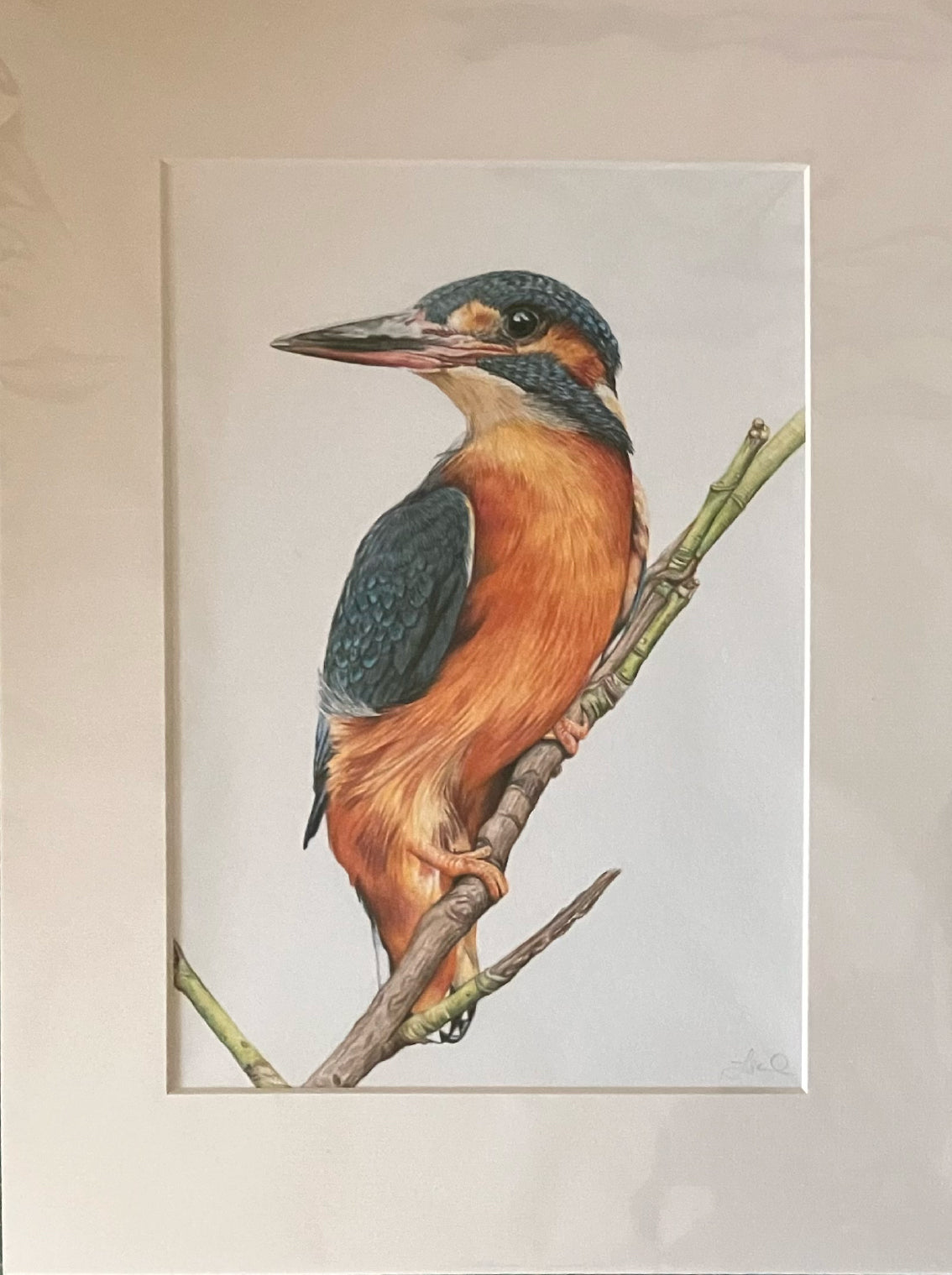 (Birds & Insects) 'Patience' Original