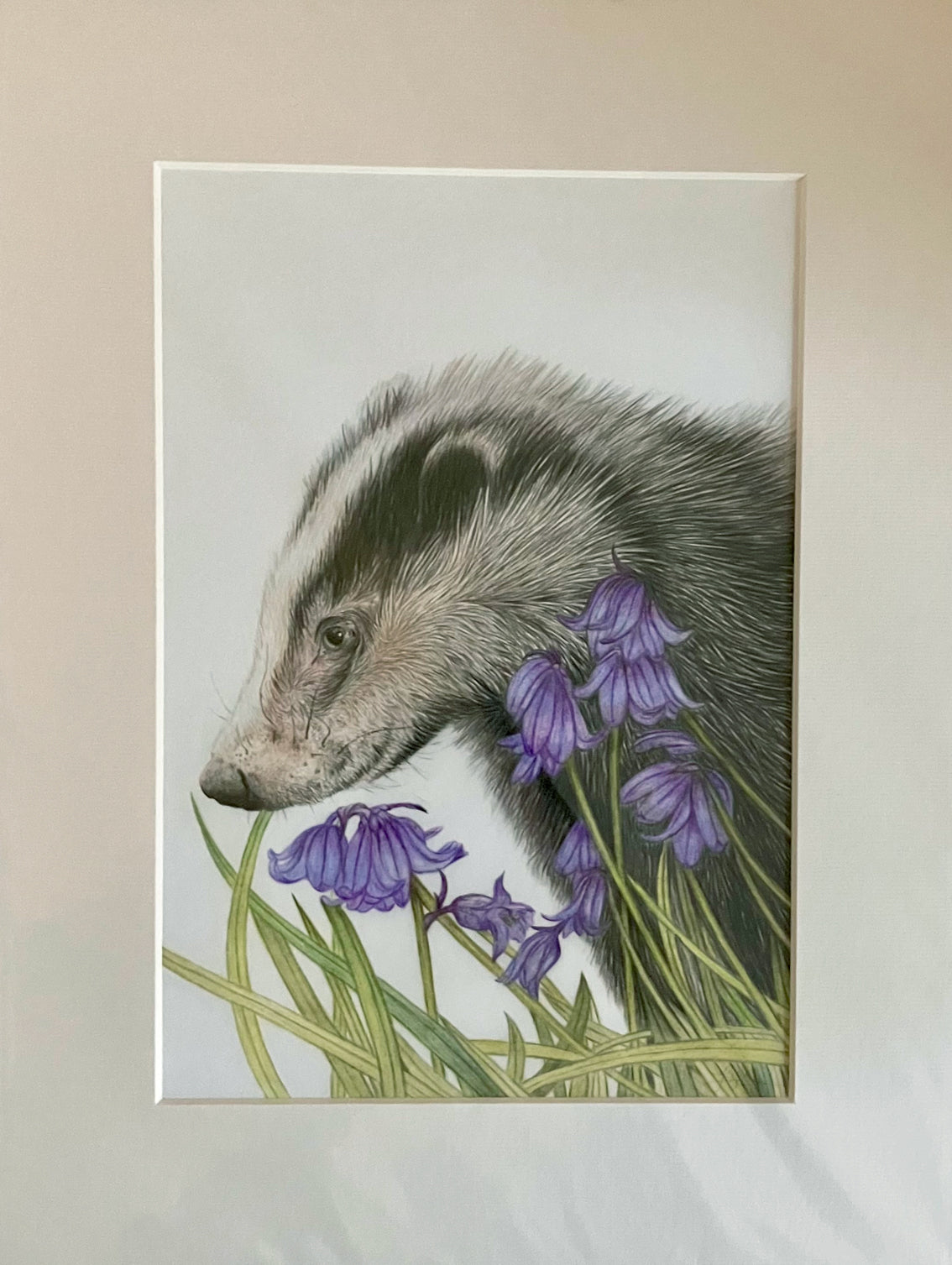'Bluebell Woods' (Badger)