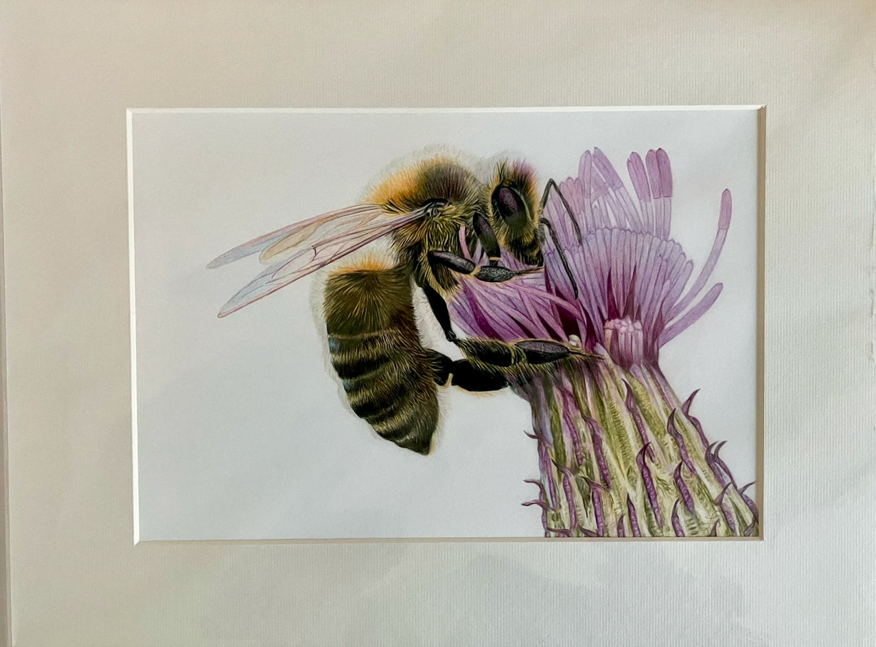 'Busy Bee' Original Drawing