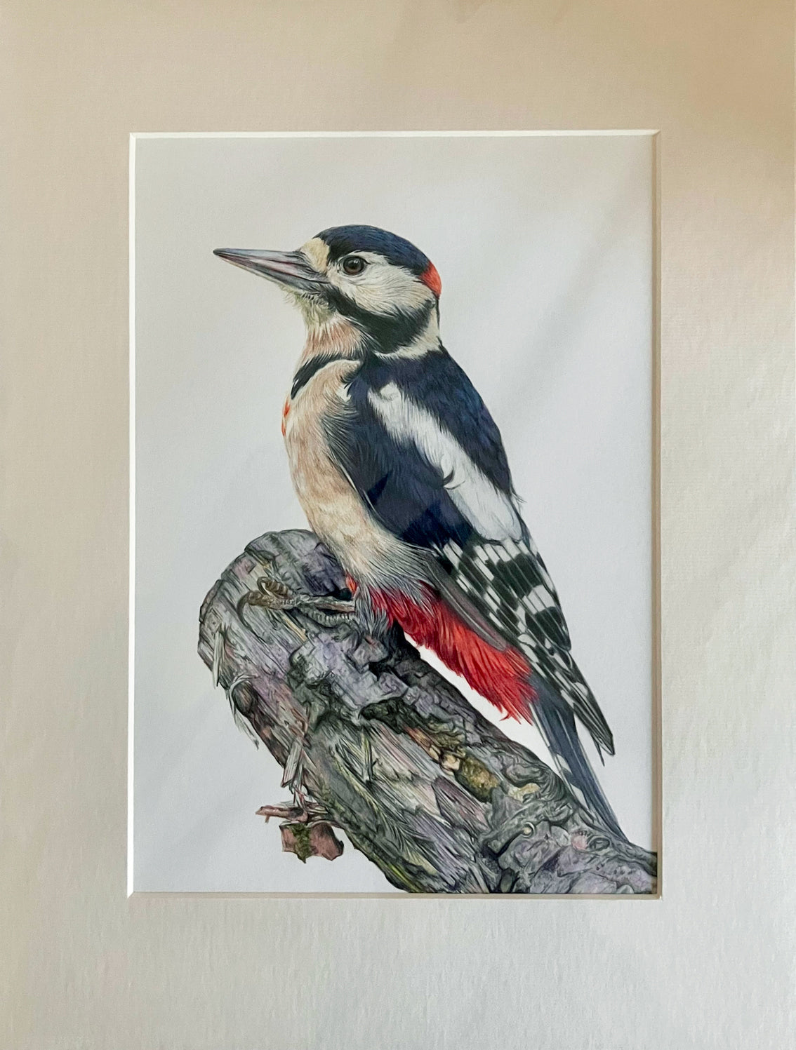 'Watchful' (Woodpecker)