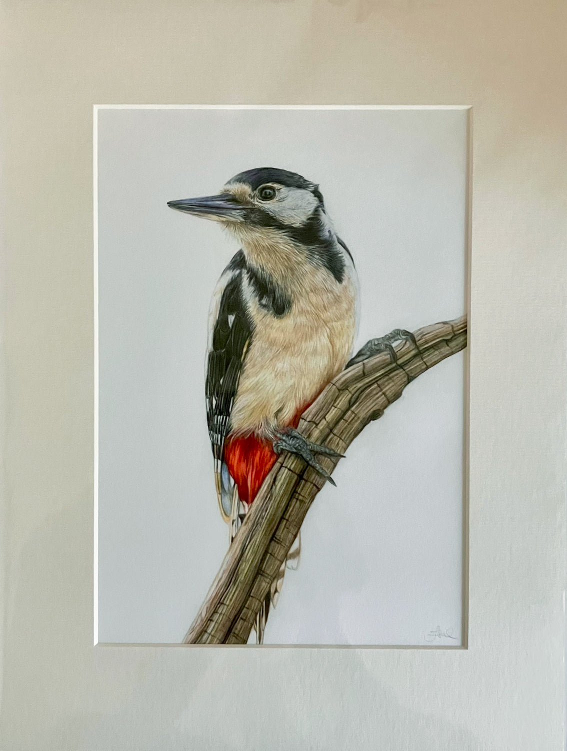 'Distracted' (Woodpecker)