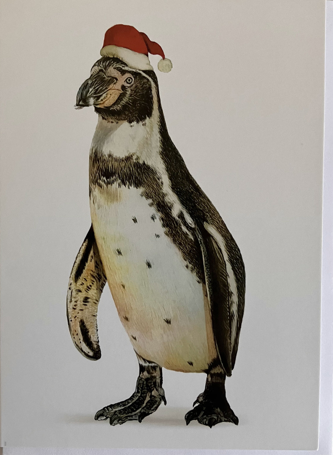 5 x Premium Penguin Christmas Cards (Reduced)