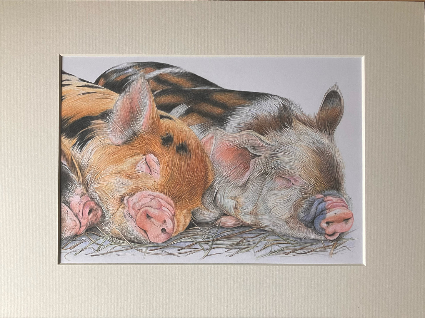 Three Little Pigs