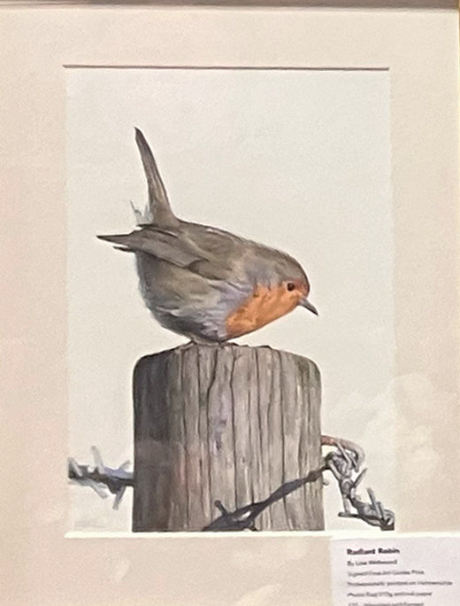 (Wildlife) 'Radiant Robin' (Robin) * NEW *
