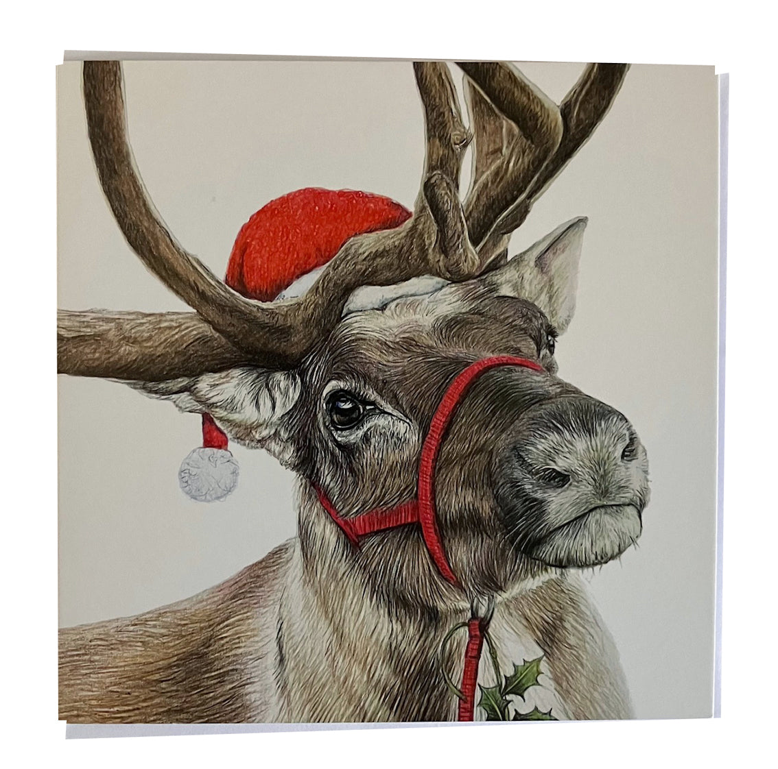 5 x Premium Animal Christmas cards