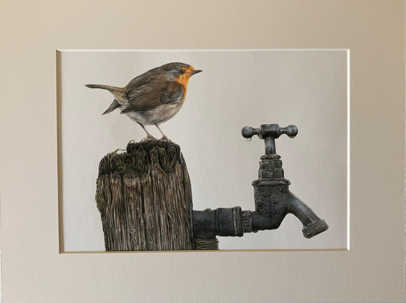 'Morning Dew' (Robin)