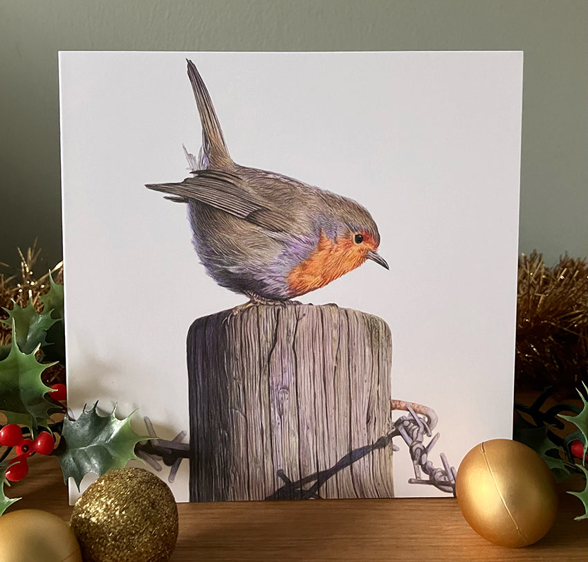 5 x Premium 'Radiant Robin' Christmas Cards