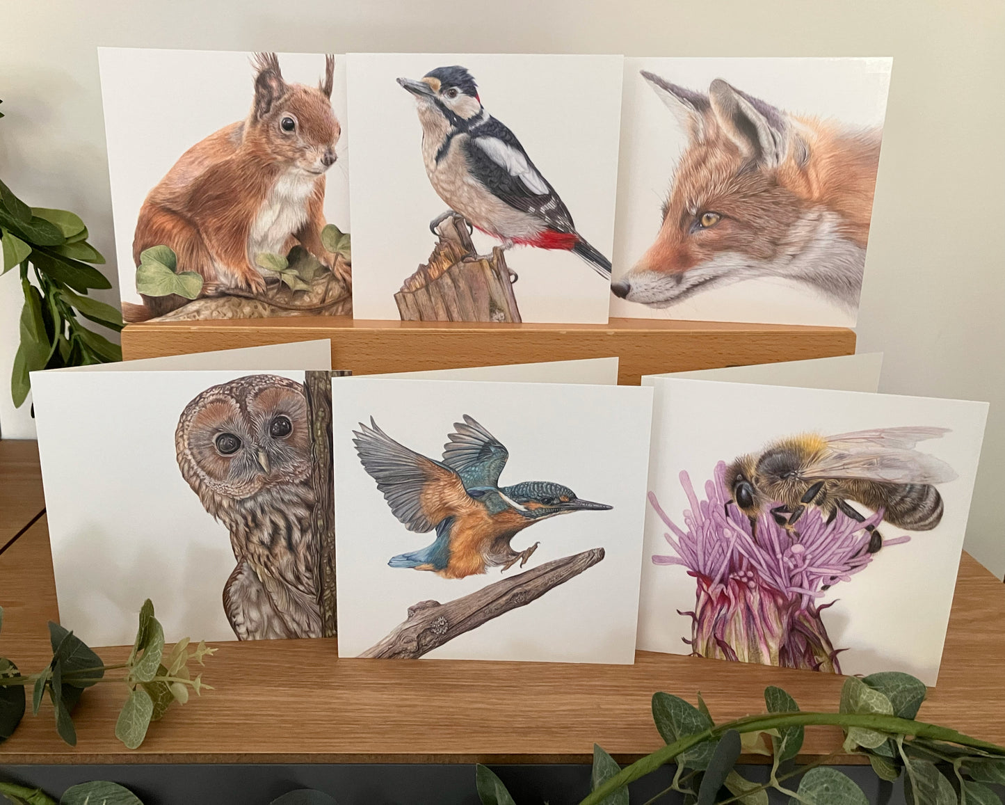 * SECONDS * 6 x Wildlife cards - Set 2