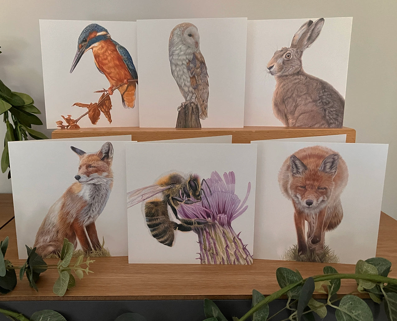 * SECONDS * 6 x Wildlife cards - Set 2