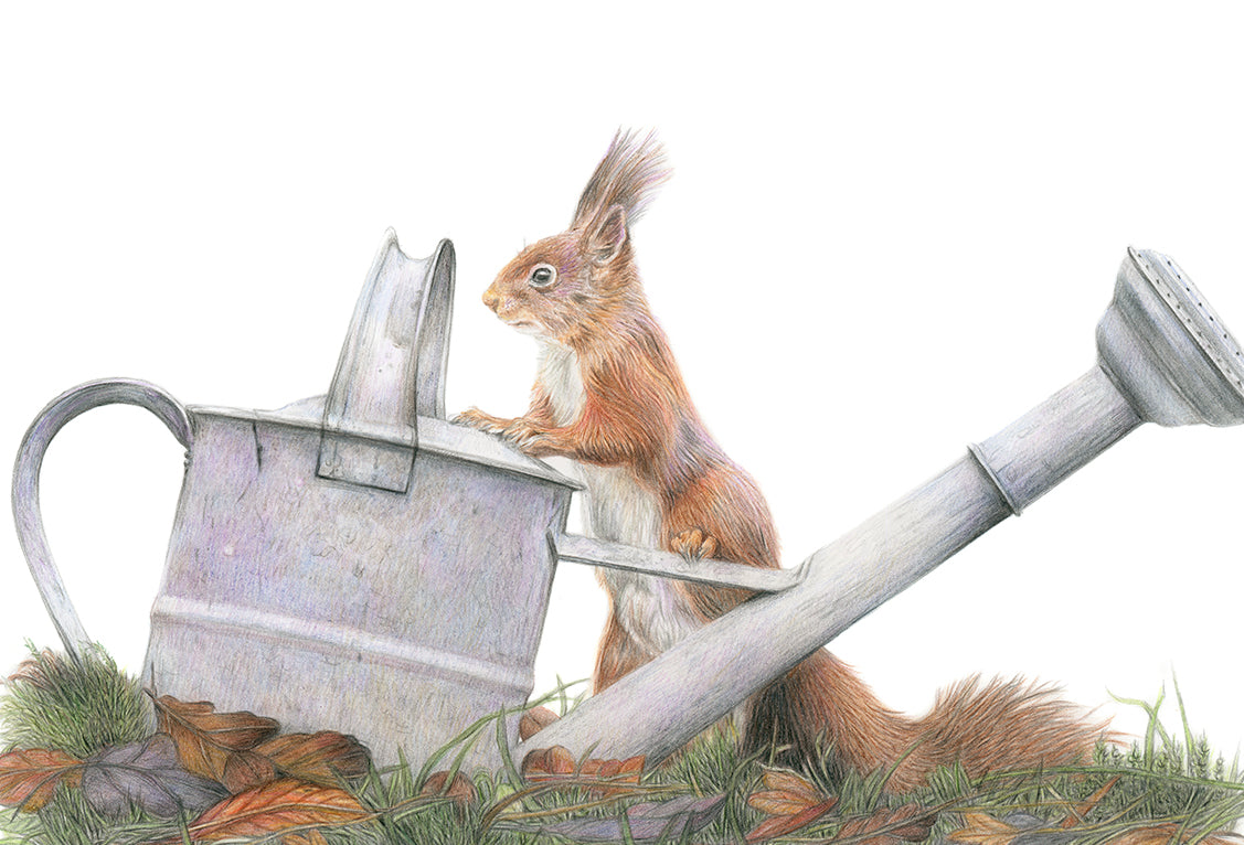 (Wildlife) 'Inquisitive' Original