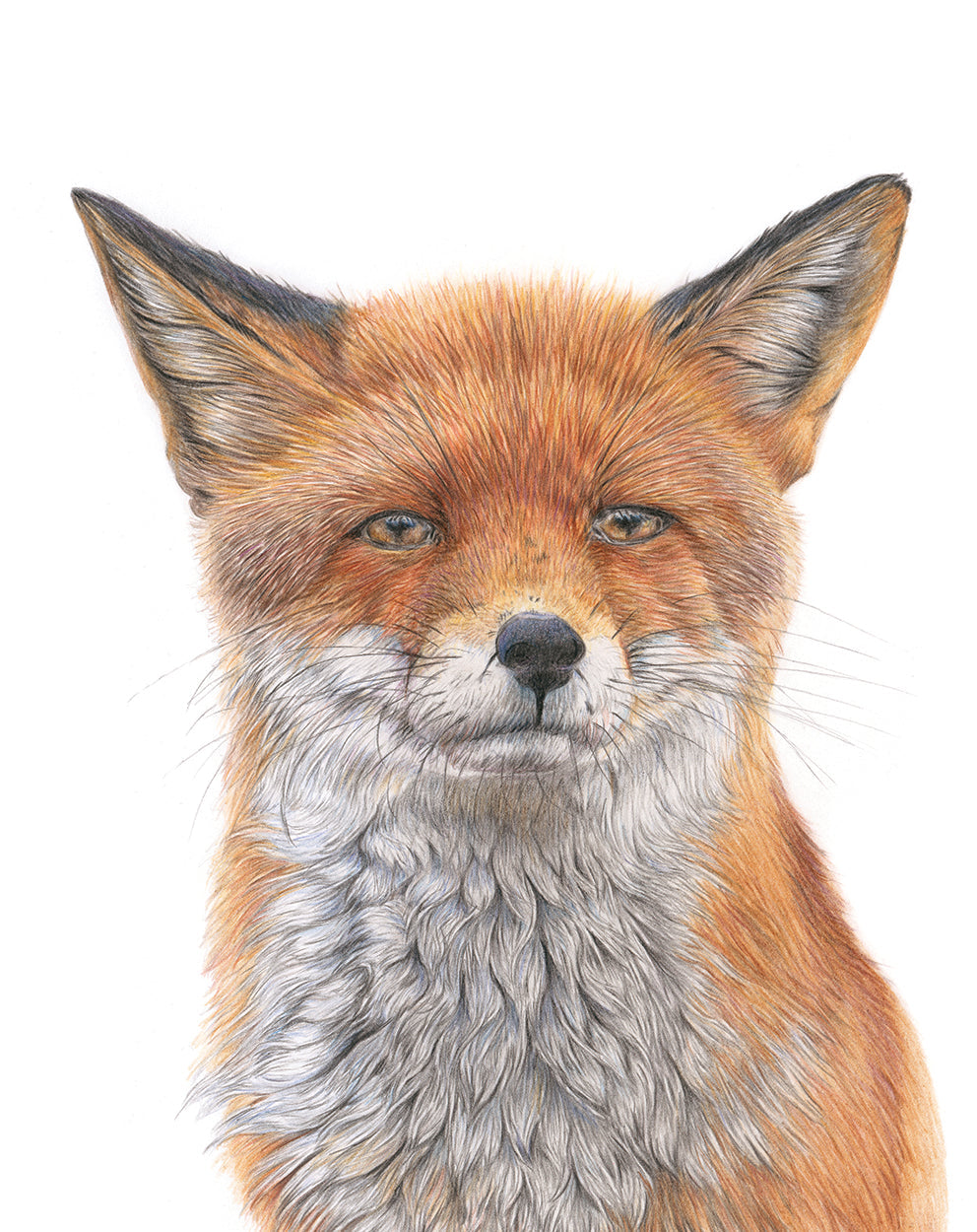 Wildlife