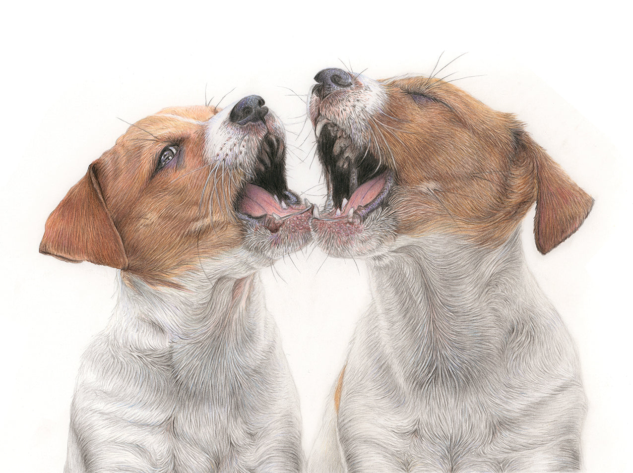 Dogs