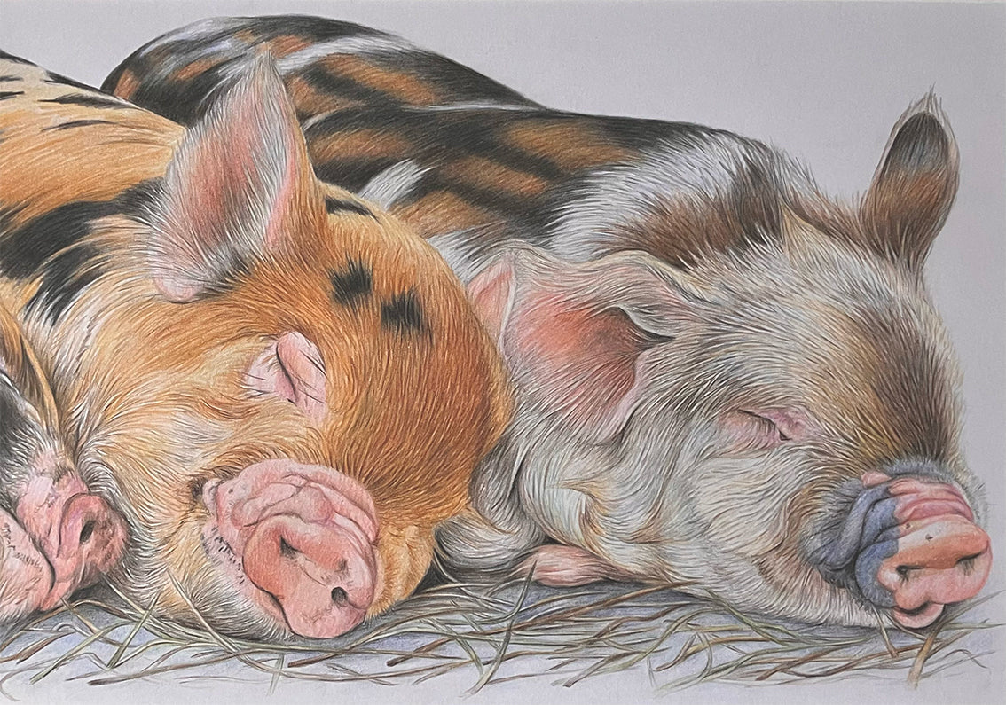 Farm Animals