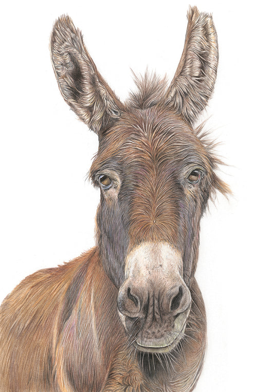 (Farm Animals) Donkey