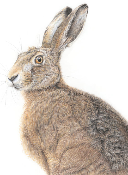 'Vigilance' (Hare) Original Drawing