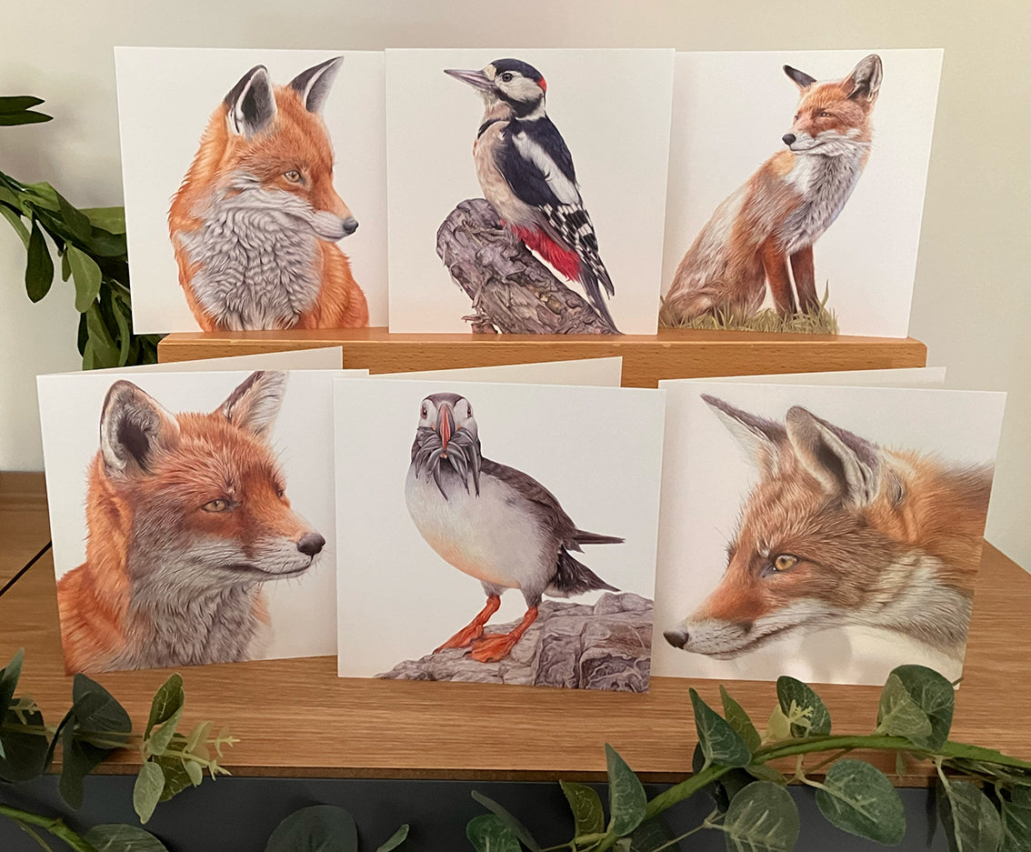6 x Premium Wildlife Card (Birds and Foxes)