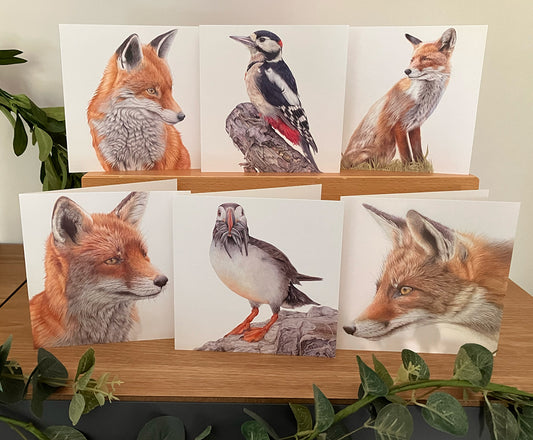 6 x Premium Wildlife Card (Birds and Foxes)