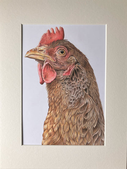 (Farm Animals) Chicken Original Drawing