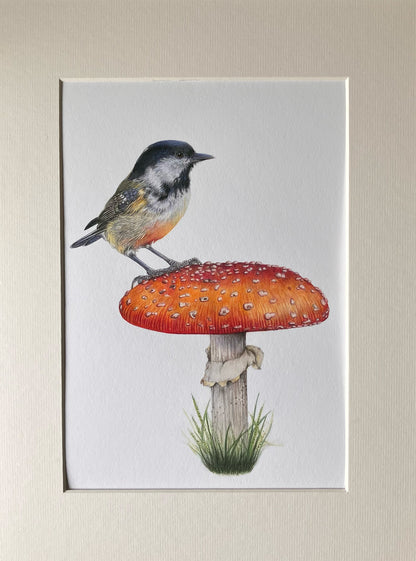 (Wildlife) 'Contented' (Coal Tit) * NEW *