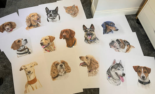 * COMING SOON * Dog - Fine Art Giclee Prints
