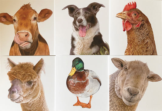 6 x Premium Farmyard Cards - Set 1