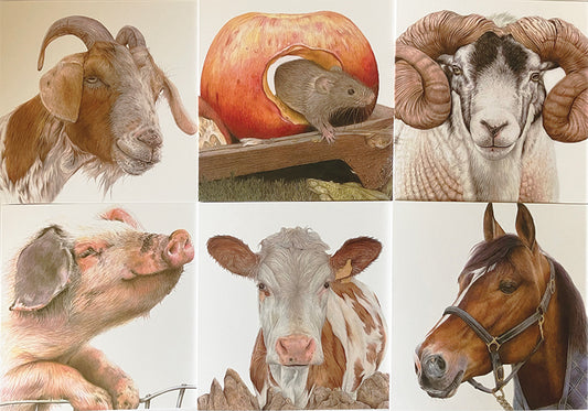 6 x Premium Farmyard Cards - Set 2