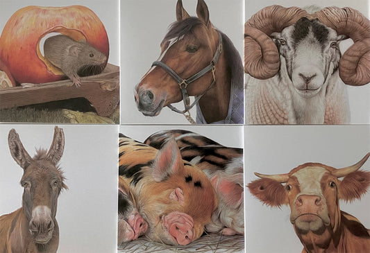 6 x Premium Farmyard Cards - Set 2