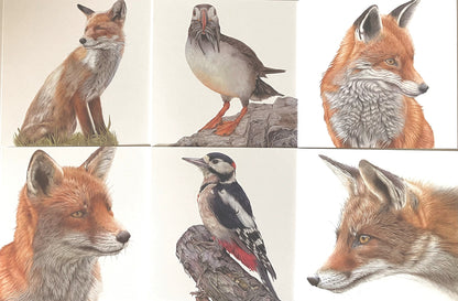 6 x Premium Wildlife Card (Birds and Foxes)
