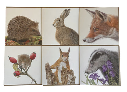 6 x Premium Wildlife Cards (Garden Wildlife)