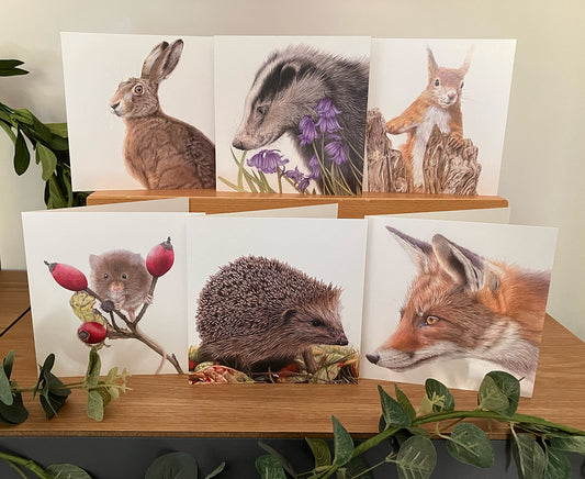 6 x Premium Wildlife Cards (Garden Wildlife)