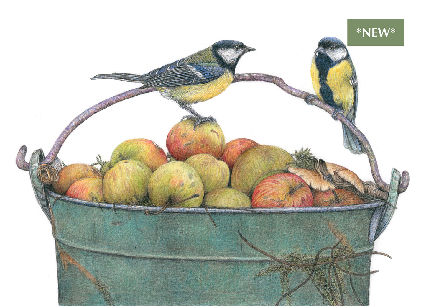 (Wildlife) 'Synergy' (Great Tits) * NEW *