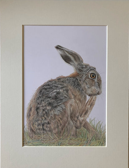 (Wildlife) 'Preening' Hare Original