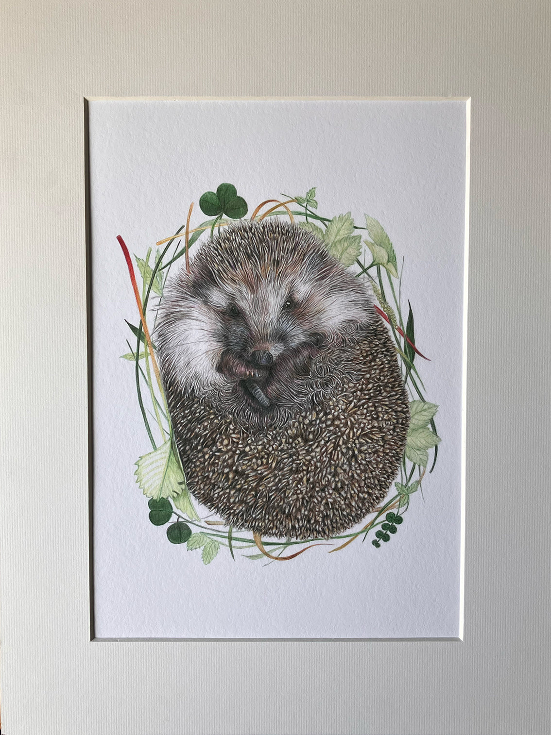 (Wildlife) *NEW* Hedgehog